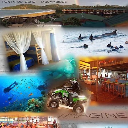 Paraiso Do Ouro Beach Front Resort Budget Accommodation ポンタ・ド・オウロ エクステリア 写真